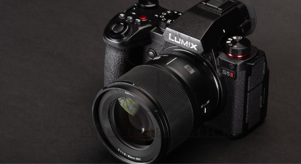 Panasonic LUMIX S5IIX